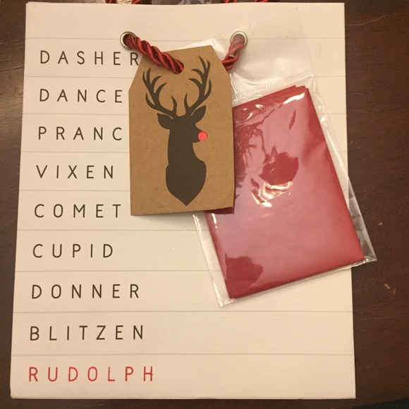 Now you know Dasher Dancer Prancer & Vixen... - Picture 7 of 8